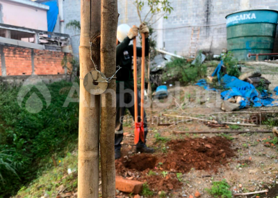 Reflorestamento e Compensação Ambiental