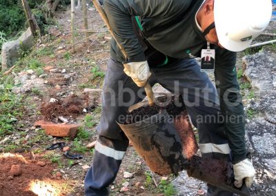 Reflorestamento e Compensação Ambiental