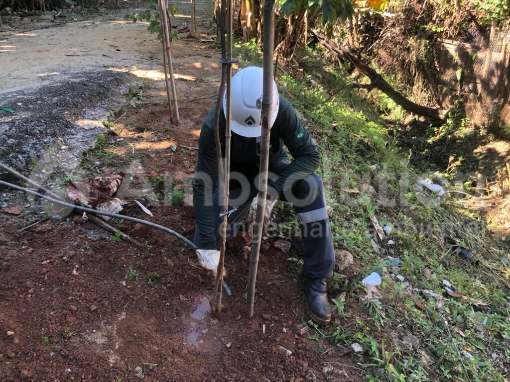 Reflorestamento e Compensação Ambiental